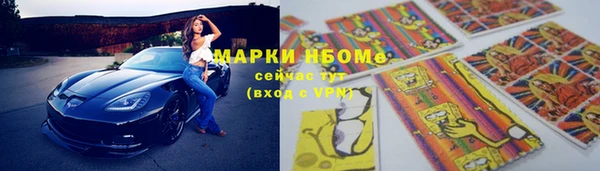 гидра Володарск