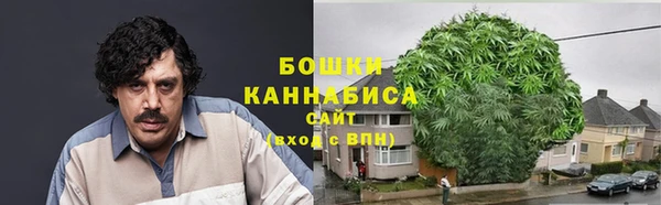 твердый Бородино
