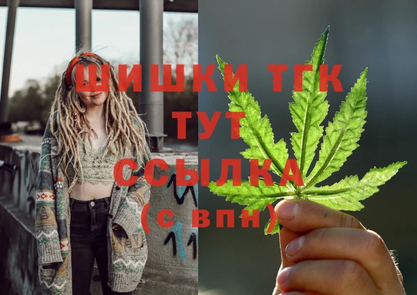 гидра Володарск
