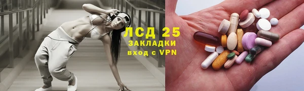 гидра Володарск