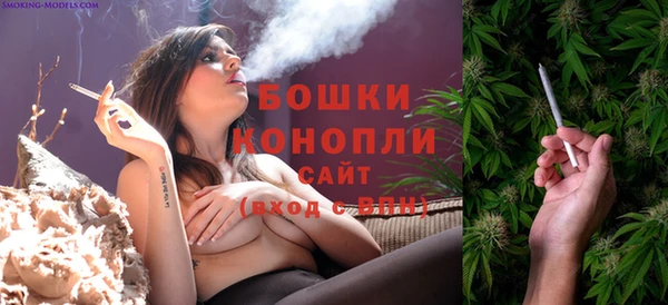 гидра Володарск