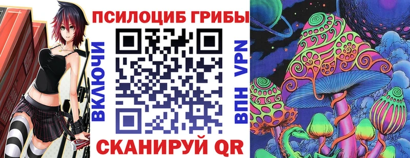 что такое наркотик  площадка Telegram  Галлюциногенные грибы мицелий  Карачаевск 